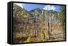 USA, Washington, Wenatchee National Forest, Tumwater Canyon in fall.-Jamie & Judy Wild-Framed Stretched Canvas