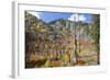 USA, Washington, Wenatchee National Forest, Tumwater Canyon in fall.-Jamie & Judy Wild-Framed Photographic Print