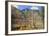 USA, Washington, Wenatchee National Forest, Tumwater Canyon in fall.-Jamie & Judy Wild-Framed Photographic Print