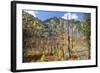 USA, Washington, Wenatchee National Forest, Tumwater Canyon in fall.-Jamie & Judy Wild-Framed Photographic Print