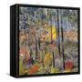 USA, Washington, Wenatchee National Forest, Tumwater Canyon in fall.-Jamie & Judy Wild-Framed Stretched Canvas