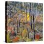 USA, Washington, Wenatchee National Forest, Tumwater Canyon in fall.-Jamie & Judy Wild-Stretched Canvas