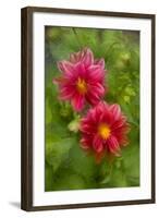 USA, Washington, Whidbey Island. Dahlia Montage-Jaynes Gallery-Framed Photographic Print