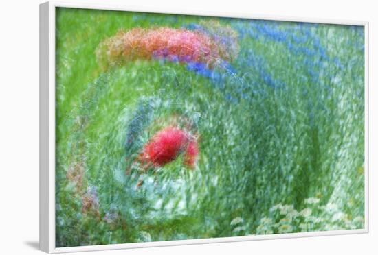 USA, Washington, Whidbey Island. Montage of Flowers and Greenery-Jaynes Gallery-Framed Photographic Print