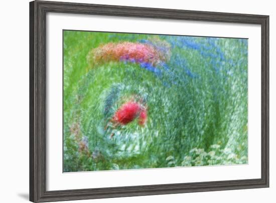 USA, Washington, Whidbey Island. Montage of Flowers and Greenery-Jaynes Gallery-Framed Photographic Print