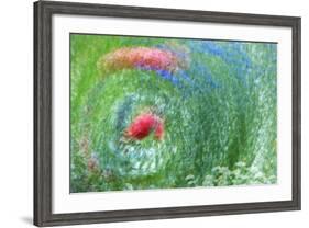 USA, Washington, Whidbey Island. Montage of Flowers and Greenery-Jaynes Gallery-Framed Photographic Print