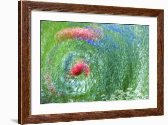 USA, Washington, Whidbey Island. Montage of Flowers and Greenery-Jaynes Gallery-Framed Photographic Print