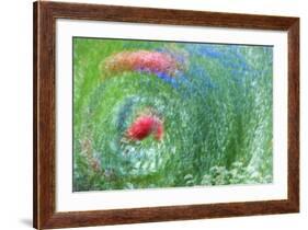 USA, Washington, Whidbey Island. Montage of Flowers and Greenery-Jaynes Gallery-Framed Photographic Print