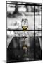 USA, Washington, Woodinville. A glass of white wine reflects a spring day in a Woodinville winery.-Richard Duval-Mounted Photographic Print