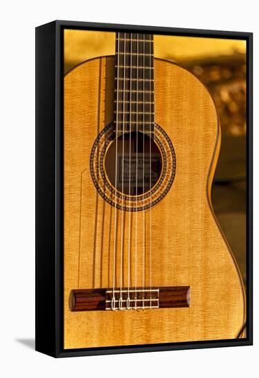 USA, Washington, Woodinville. Spanish Guitar-Richard Duval-Framed Stretched Canvas