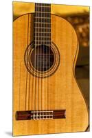 USA, Washington, Woodinville. Spanish Guitar-Richard Duval-Mounted Premium Photographic Print