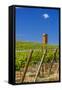 USA, Washington, Yakima Valley. Col Solare Winery and Vineyard-Richard Duval-Framed Stretched Canvas