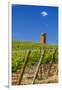 USA, Washington, Yakima Valley. Col Solare Winery and Vineyard-Richard Duval-Framed Premium Photographic Print