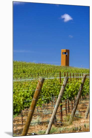 USA, Washington, Yakima Valley. Col Solare Winery and Vineyard-Richard Duval-Mounted Premium Photographic Print