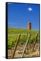 USA, Washington, Yakima Valley. Col Solare Winery and Vineyard-Richard Duval-Framed Stretched Canvas