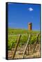 USA, Washington, Yakima Valley. Col Solare Winery and Vineyard-Richard Duval-Framed Stretched Canvas