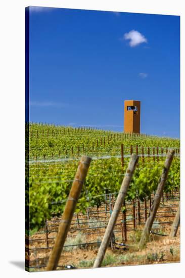 USA, Washington, Yakima Valley. Col Solare Winery and Vineyard-Richard Duval-Stretched Canvas