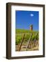 USA, Washington, Yakima Valley. Col Solare Winery and Vineyard-Richard Duval-Framed Photographic Print