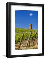 USA, Washington, Yakima Valley. Col Solare Winery and Vineyard-Richard Duval-Framed Photographic Print