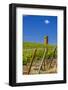 USA, Washington, Yakima Valley. Col Solare Winery and Vineyard-Richard Duval-Framed Photographic Print