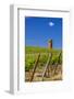 USA, Washington, Yakima Valley. Col Solare Winery and Vineyard-Richard Duval-Framed Photographic Print