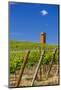 USA, Washington, Yakima Valley. Col Solare Winery and Vineyard-Richard Duval-Mounted Photographic Print