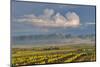 USA, Washington, Yakima. View Towards Yakima Nation Reservation-Janis Miglavs-Mounted Photographic Print