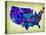 Usa Watercolor Map 5-NaxArt-Stretched Canvas