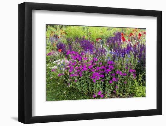 USA, Wayne, Pennsylvania. Summer Flowers in Chanticleer Garden-Jay O'brien-Framed Photographic Print