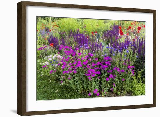 USA, Wayne, Pennsylvania. Summer Flowers in Chanticleer Garden-Jay O'brien-Framed Photographic Print