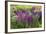 USA, Wayne, Pennsylvania. Summer Flowers in Chanticleer Garden-Jay O'brien-Framed Photographic Print