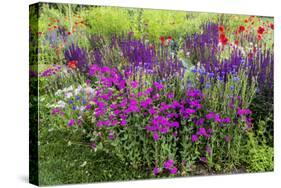 USA, Wayne, Pennsylvania. Summer Flowers in Chanticleer Garden-Jay O'brien-Stretched Canvas