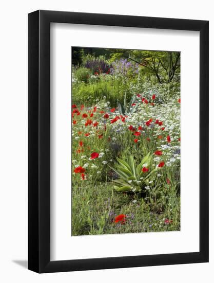 USA, Wayne, Pennsylvania. Summer Flowers in Chanticleer Garden-Jay O'brien-Framed Photographic Print