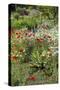 USA, Wayne, Pennsylvania. Summer Flowers in Chanticleer Garden-Jay O'brien-Stretched Canvas