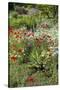 USA, Wayne, Pennsylvania. Summer Flowers in Chanticleer Garden-Jay O'brien-Stretched Canvas