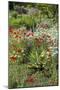 USA, Wayne, Pennsylvania. Summer Flowers in Chanticleer Garden-Jay O'brien-Mounted Photographic Print