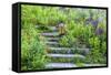 USA, Wayne, Pennsylvania. Summer Flowers in Chanticleer Garden-Jay O'brien-Framed Stretched Canvas