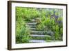 USA, Wayne, Pennsylvania. Summer Flowers in Chanticleer Garden-Jay O'brien-Framed Photographic Print