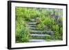 USA, Wayne, Pennsylvania. Summer Flowers in Chanticleer Garden-Jay O'brien-Framed Photographic Print