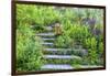 USA, Wayne, Pennsylvania. Summer Flowers in Chanticleer Garden-Jay O'brien-Framed Photographic Print