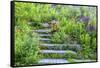 USA, Wayne, Pennsylvania. Summer Flowers in Chanticleer Garden-Jay O'brien-Framed Stretched Canvas