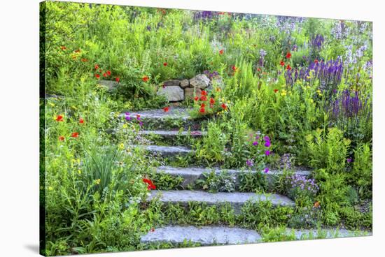 USA, Wayne, Pennsylvania. Summer Flowers in Chanticleer Garden-Jay O'brien-Stretched Canvas