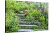 USA, Wayne, Pennsylvania. Summer Flowers in Chanticleer Garden-Jay O'brien-Stretched Canvas