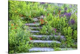 USA, Wayne, Pennsylvania. Summer Flowers in Chanticleer Garden-Jay O'brien-Stretched Canvas