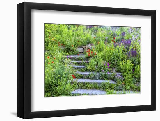 USA, Wayne, Pennsylvania. Summer Flowers in Chanticleer Garden-Jay O'brien-Framed Photographic Print