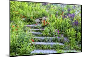 USA, Wayne, Pennsylvania. Summer Flowers in Chanticleer Garden-Jay O'brien-Mounted Photographic Print