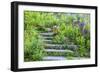 USA, Wayne, Pennsylvania. Summer Flowers in Chanticleer Garden-Jay O'brien-Framed Photographic Print