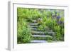 USA, Wayne, Pennsylvania. Summer Flowers in Chanticleer Garden-Jay O'brien-Framed Photographic Print