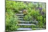 USA, Wayne, Pennsylvania. Summer Flowers in Chanticleer Garden-Jay O'brien-Mounted Photographic Print