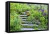 USA, Wayne, Pennsylvania. Summer Flowers in Chanticleer Garden-Jay O'brien-Framed Stretched Canvas